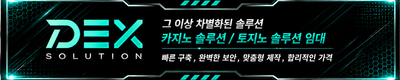 덱스솔루션